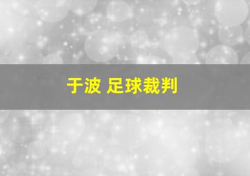 于波 足球裁判